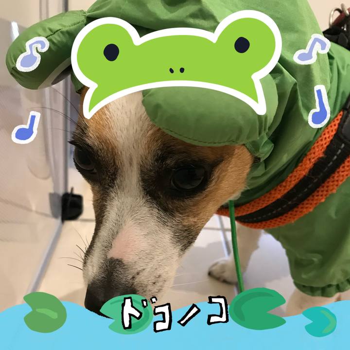 B363f82a 67ae 435a 91b1 e1f1f62ae372 1717588999622