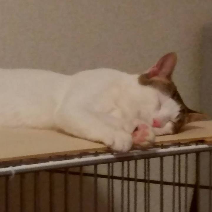 B363fbe5 825d 49f3 8d59 8839e88725f7 1646644507322