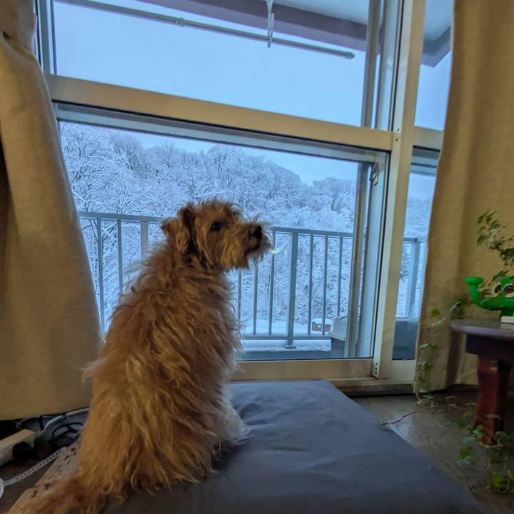 B364048f 6c92 4c8d 9231 ad80ce66f34a 1738619981058