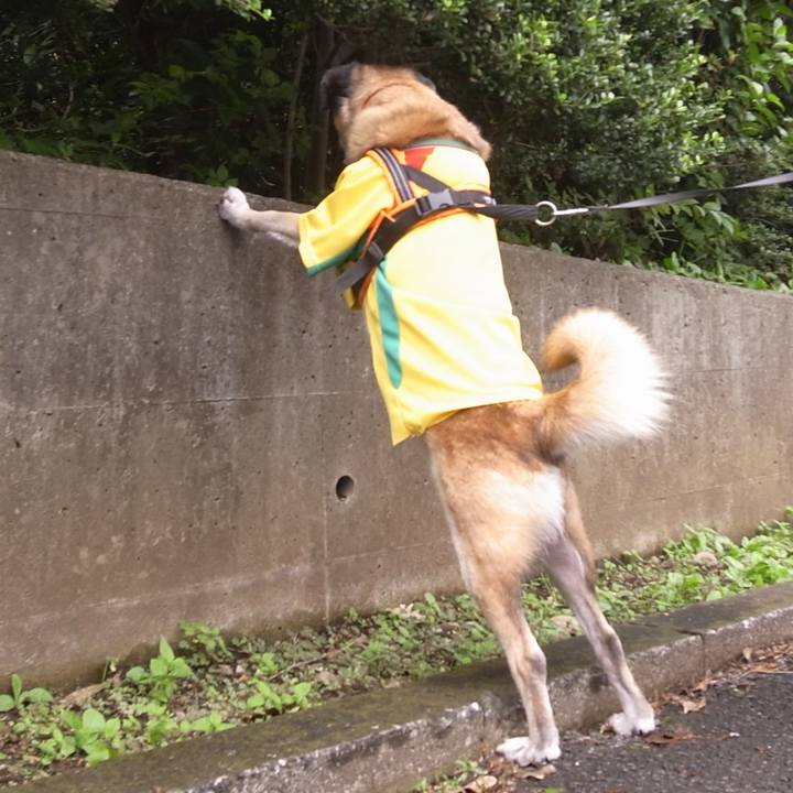 B3640bad cf2c 4509 b8b0 cb61ec0fe13d 1589845794200