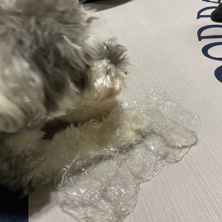 B36410ef a90f 40d6 859e 2c641198948f 1599486951148