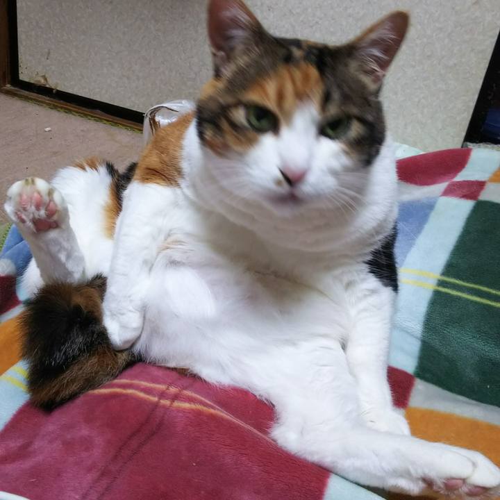 B3641860 7a56 473f 8488 89d62ac0ddef 1539785444261