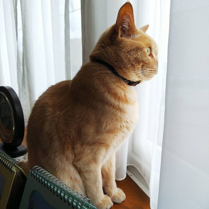 B36424db 80b8 4f48 9514 fc68d140f4cc 1618886339760