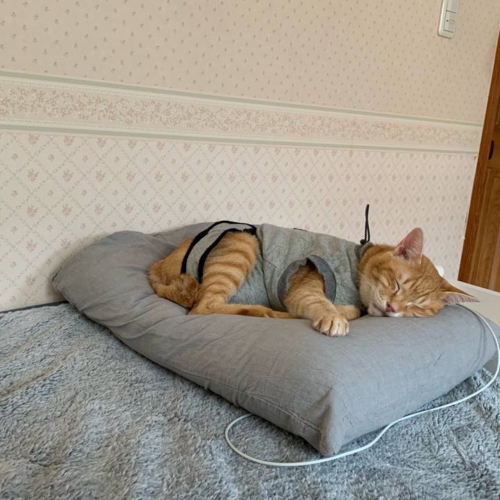 B3642d70 bb83 4363 87d4 59141c1929d8 1635898613749