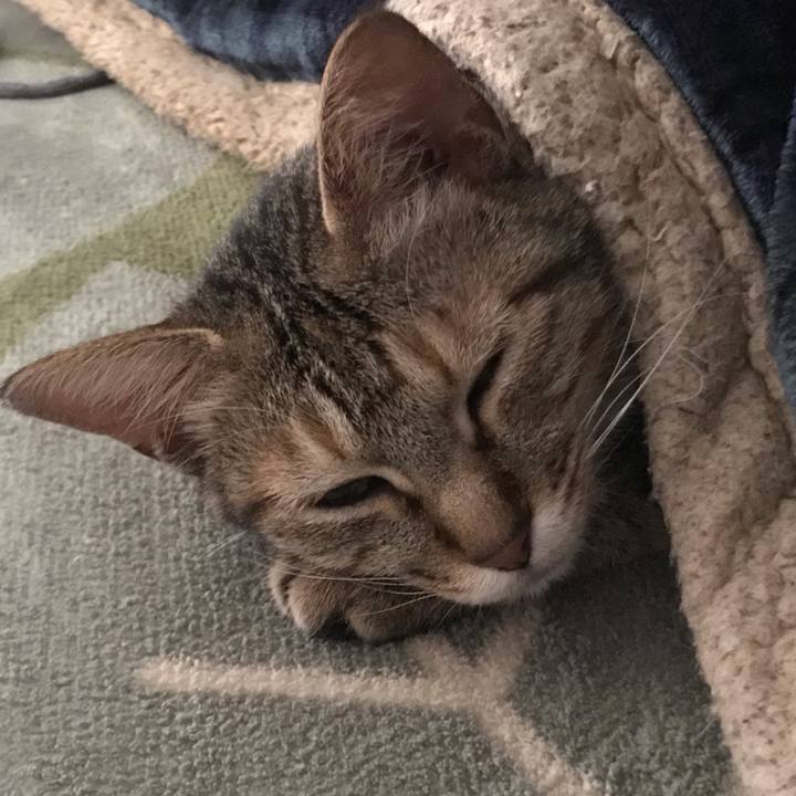 B36460a4 6cc9 402f a637 7172a9b5aa66 1585551026074