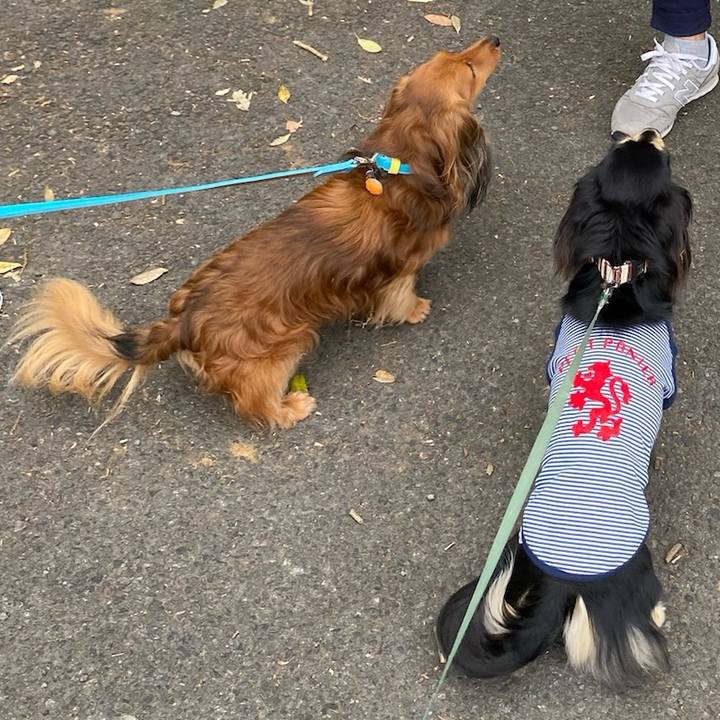 B3646e74 ce46 4adb 83f5 f4ca0dbae679 1714429365583