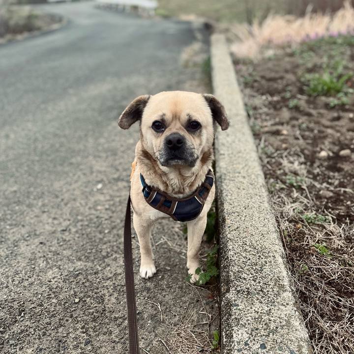 B364ad12 9517 406b 93a3 bb8c3364f7ff 1772512329687