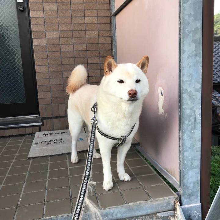 B364b31c 3fe5 408b 87af c25e0b126f40 1699309691055