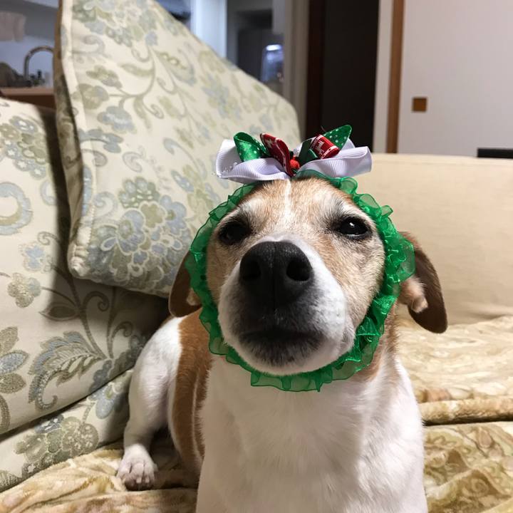 B364c6b0 a6e6 4c5e 8888 79bd7fead709 1545646409059