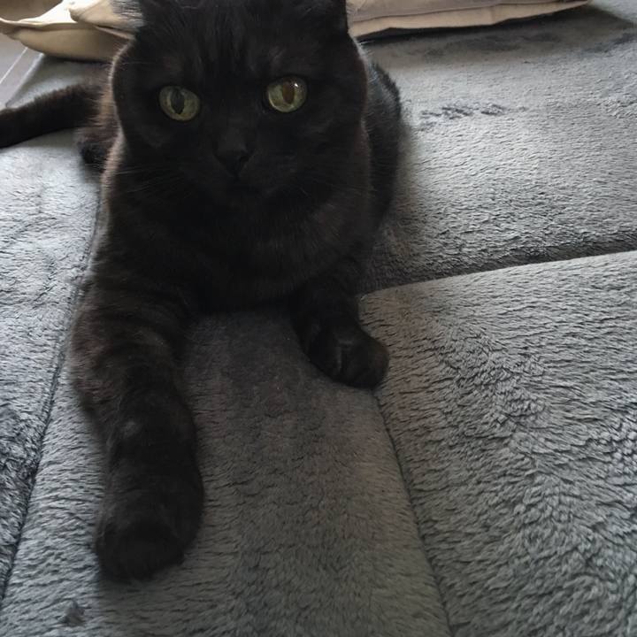 B364d092 c1d4 4a35 84ec 76d353642688 1559101166194