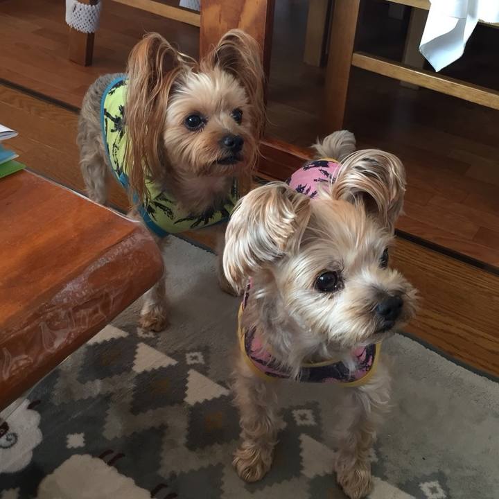 B364d800 b7b6 4b64 af0d 78992e7588bb 1543306313302