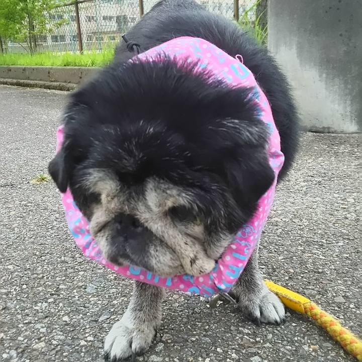 B364f708 3f22 4f3e 87ec f79881a2b2da 1565590062040