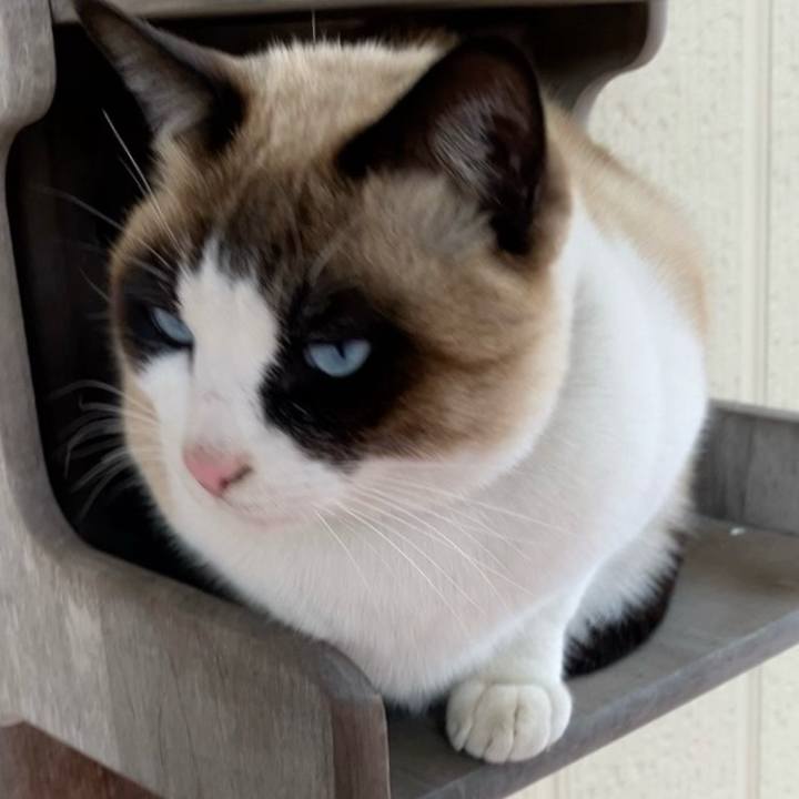 B36506ef 76fd 4bf7 bfe4 d464bd25cb87 1739067979886