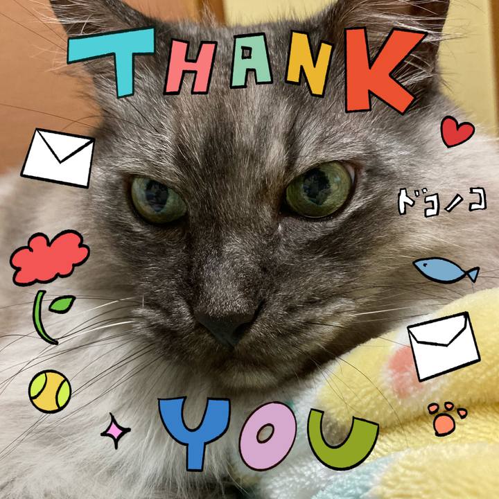 B365267f 4aca 4bf9 b624 0674b4605941 1715555126458