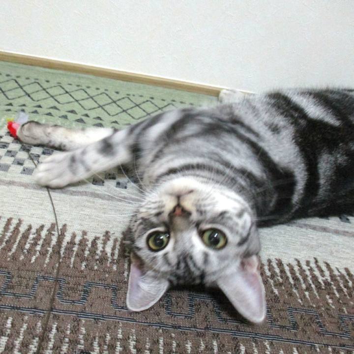 B36564da 74ce 49aa 95f1 b598a1472837 1544190753928