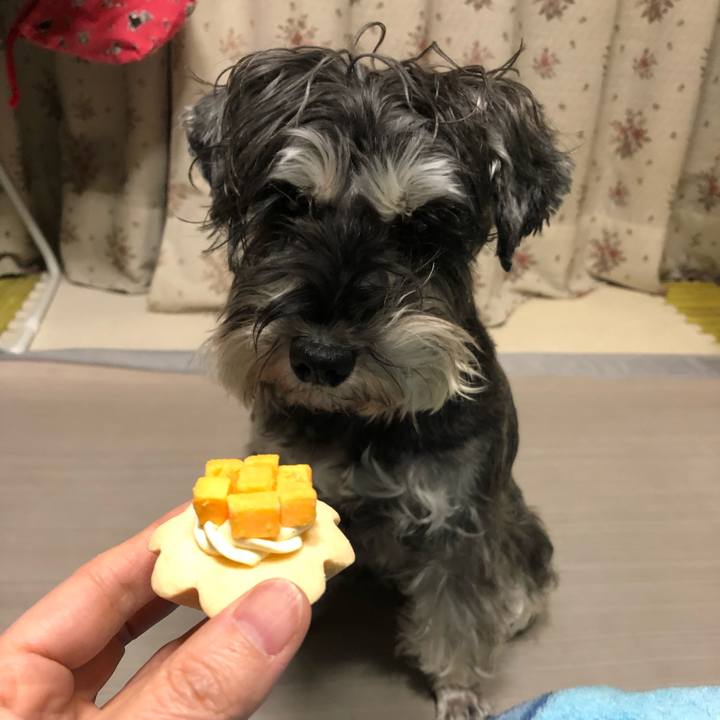 B3656a52 11a7 4a48 b7f2 3681bd6b5314 1609936458351