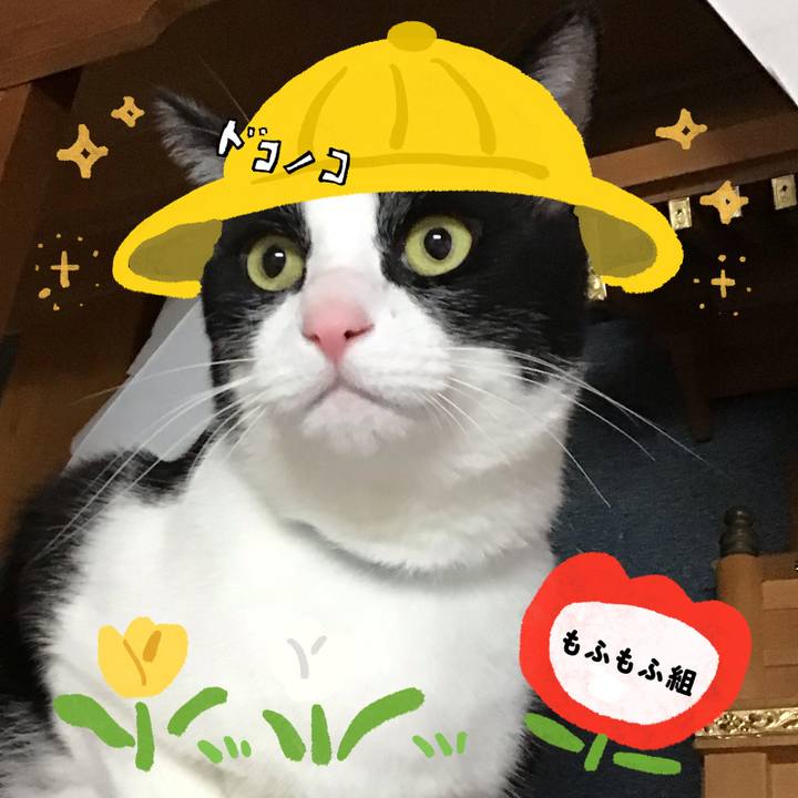 B36599f8 256c 43c3 87de b741a886a45a 1712314333162