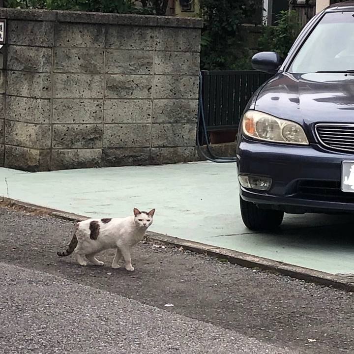 B3660600 f73b 4a72 92a5 ed7d618e09c8 1562346240733