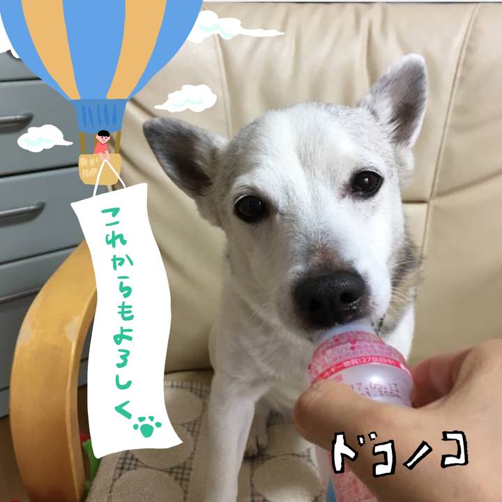 B3660b14 1eaf 4b23 9679 17927e333b75 1686004399596