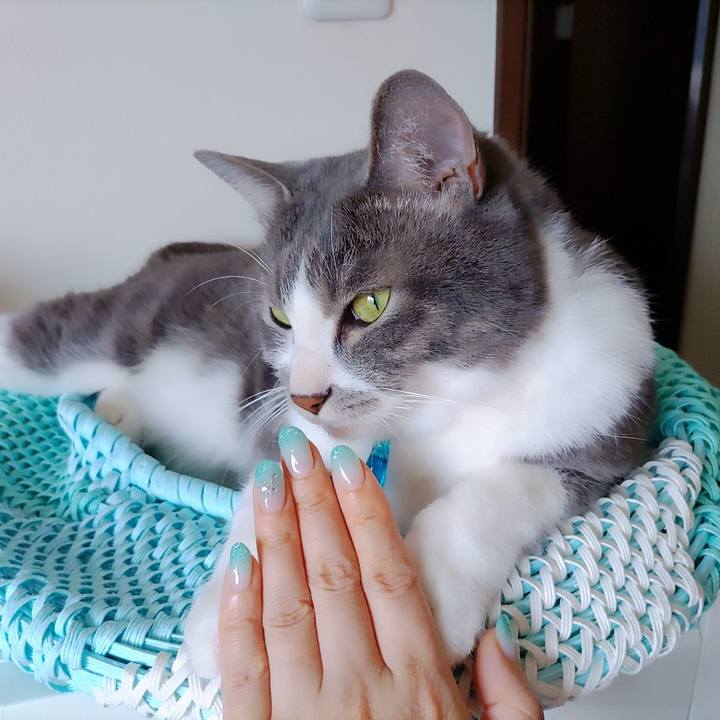 B3662196 0481 4145 8f20 0f36836219da 1654910469328