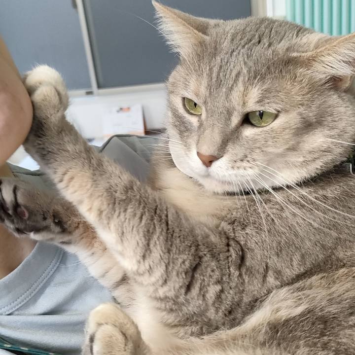 B3666b85 f481 466d 883f 727d67faf766 1686886860594