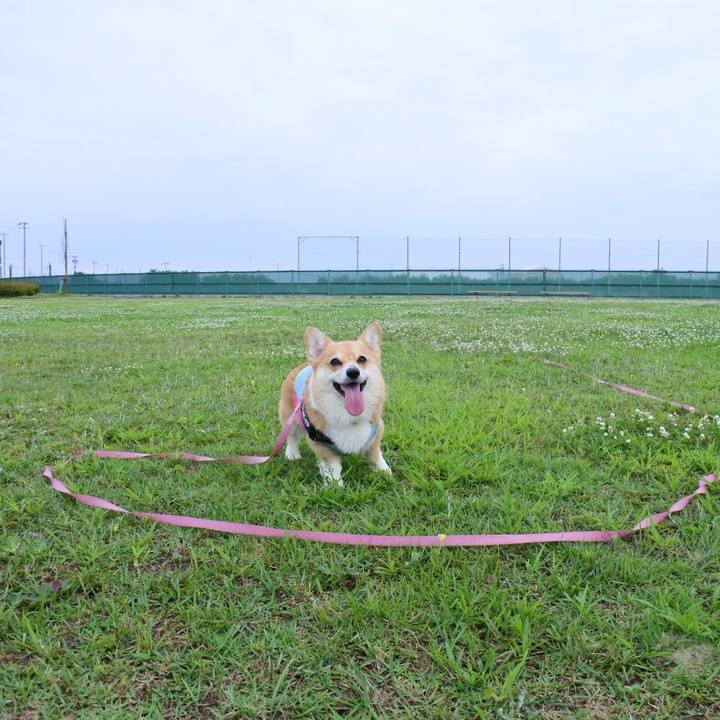 B3669a42 89d4 4a98 bbe7 94f3f2ff5c10 1627190072846