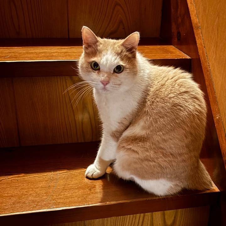 B36707a3 b28c 47f4 a610 58d1154df144 1763394849089