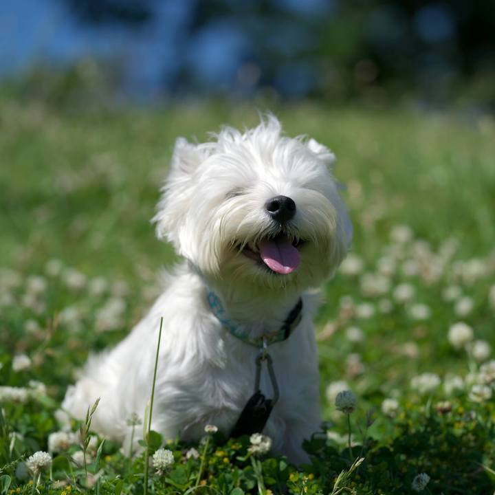 B3672079 8e89 4b70 8750 21410f0cd12f 1525476340232