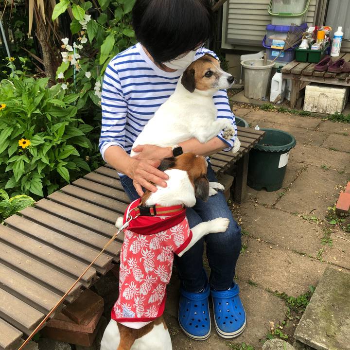 B367219e a017 401e b99e 663ba332405b 1653048215190