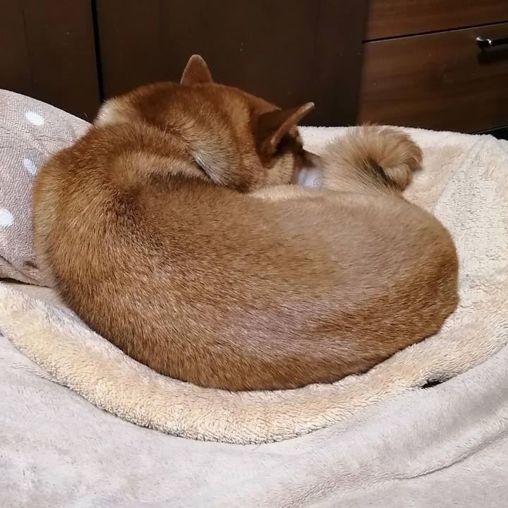 B3674b32 6bf5 44a1 9708 c497e5723ef7 1619529377259