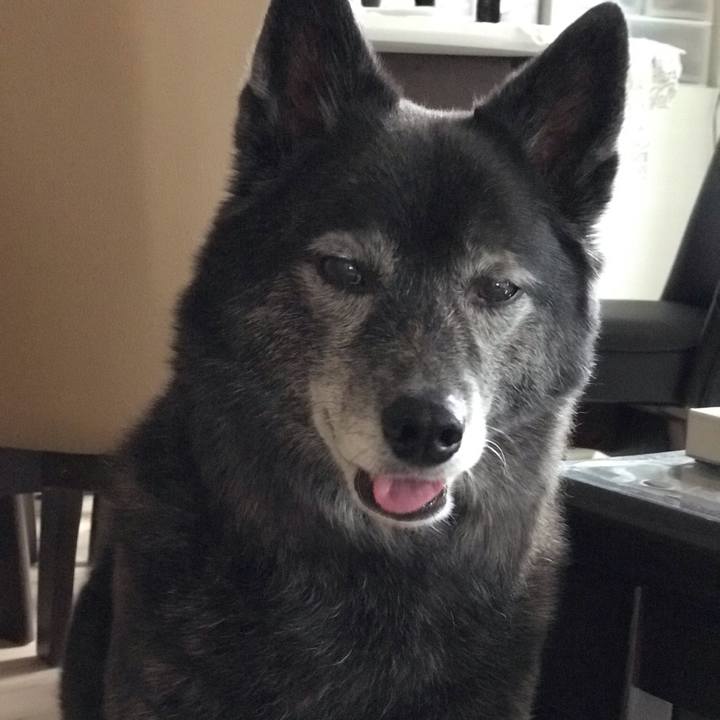 B3679a14 d7cb 4394 98fb 2b436618c248 1589630420213