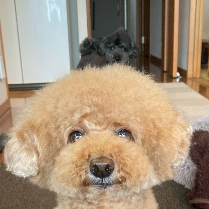 B367b0d9 d0ff 4fe8 98c7 98e5704f83f1 1683774336563