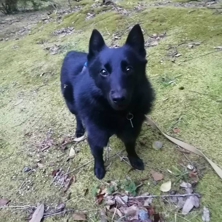 B367b3c9 892e 41e5 aaf0 7401a3300bdd 1634591610591