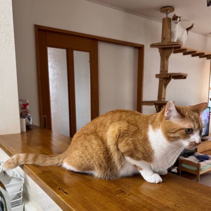 B367cf21 44fc 4521 80f4 a490ea52084c 1772764643813