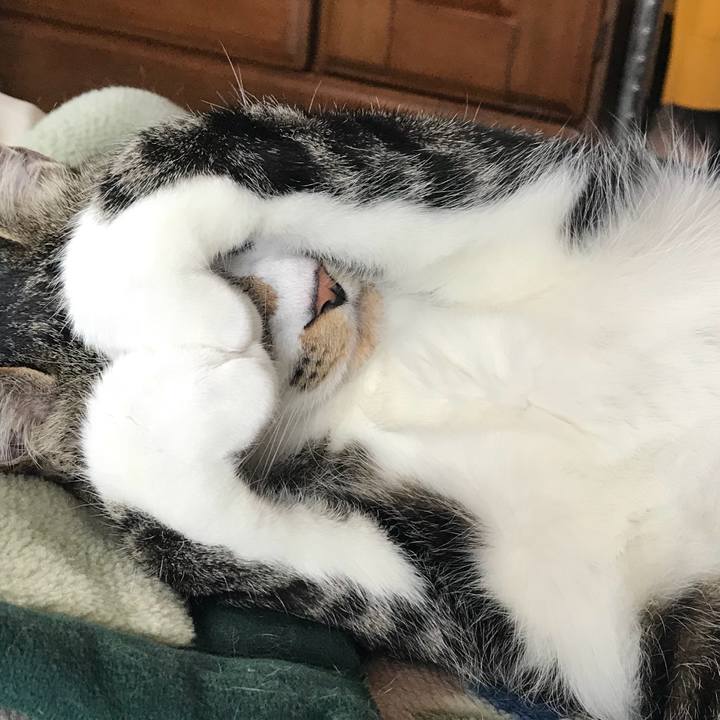 B3680201 bdcb 42a7 9b5e 61aa8ecdc5e4 1523847528296