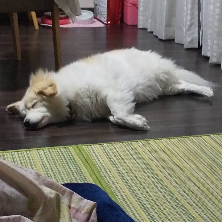 B368151d f11d 4050 88ca c71daf676c4e 1640317005304