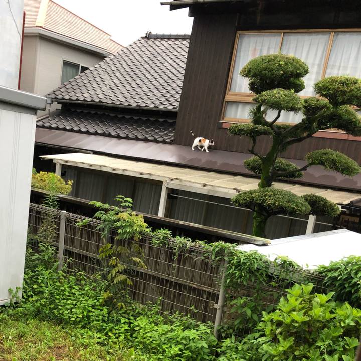 B3682ba0 76d1 4f87 8391 bbde4939cbcb 1631052619535