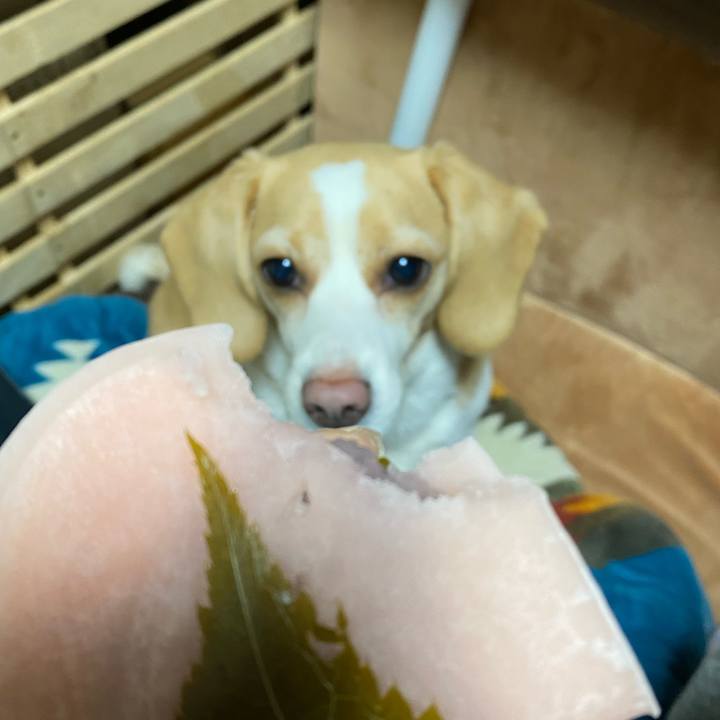 B36878ae 68bf 414c 9ea6 6dc84ce2f67f 1646306615141