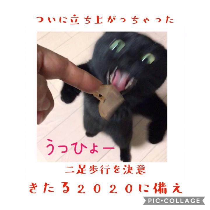 B368a8a0 e5f6 4a33 94fd 2abd923a9375 1578392901835