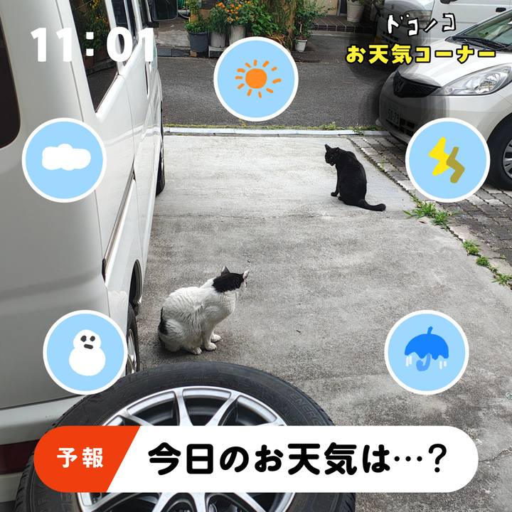 B368a969 ec78 4ff5 a5e2 a19066c2a850 1781688338954