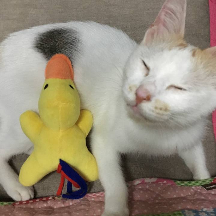 B368b222 d449 449b 9d09 e0ce3fadd569 1537010947617