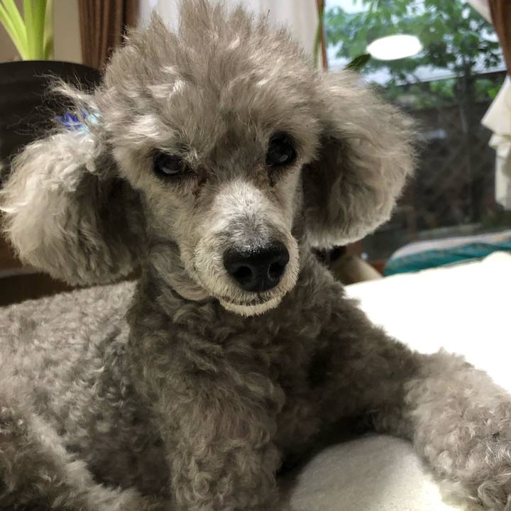 B368b2fa 814f 4872 9c5e fca650687de8 1590918188859