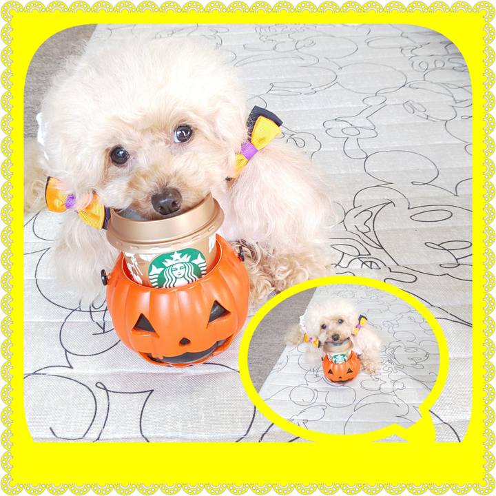 B368c115 e1fb 4dbe 89ab b8fa41144199 1572261261310