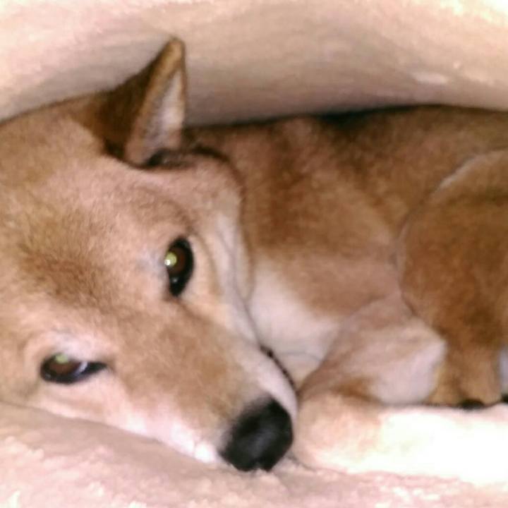 B36905ce 704a 4f08 acf2 880d6a1d6dcc 1571234528302