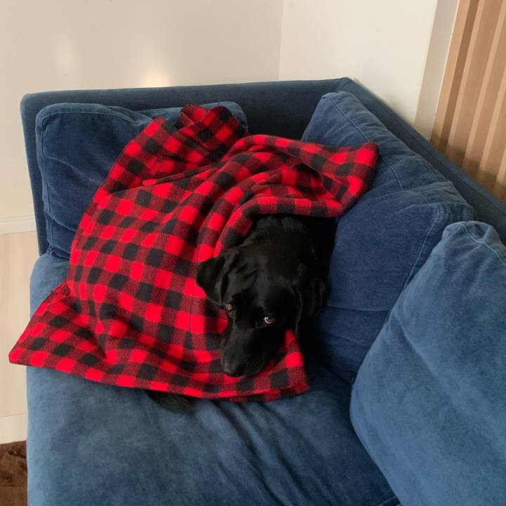 B3697208 cd8c 4696 9512 5e645165ac2d 1603782444175