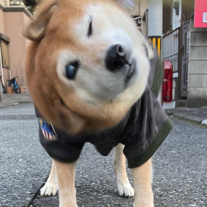 B369ae77 ebb5 4a33 b2f5 57cbf85e8d1d 1673425694251