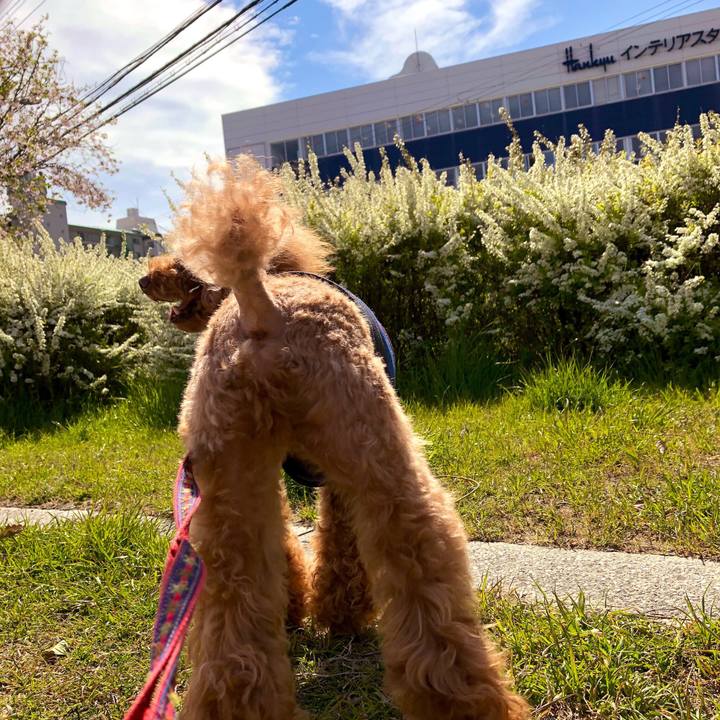 B36a315b 0573 4344 9948 7a5ca3b56b84 1554451939788