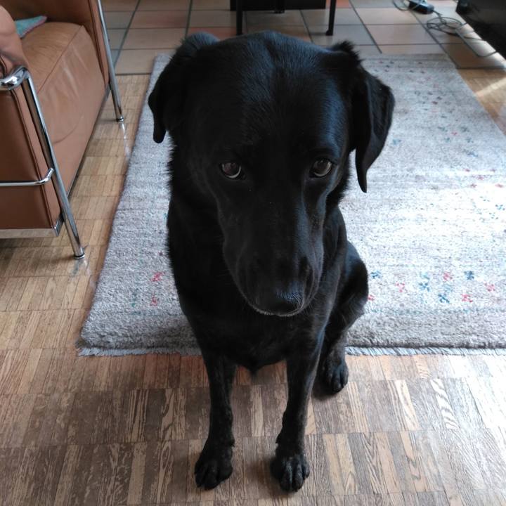 B36a4022 b0d0 4e0c bcb6 43728bf1477b 1585269373746