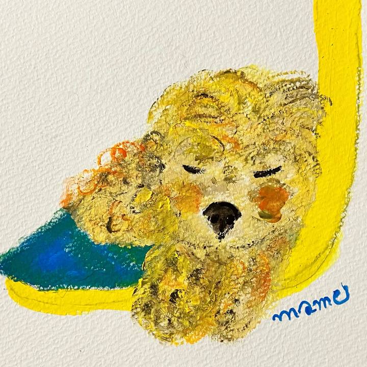 B36a5051 97ef 4c99 b9aa 886088dd1755 1721915581383