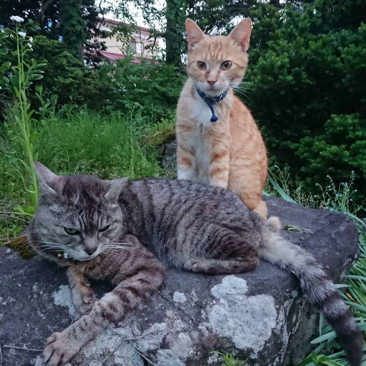 B36a74d7 2fad 46ec 80f8 7b5194e3c388 1558951980601